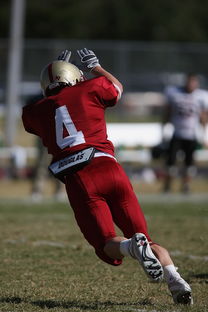 APP下载 LY Sports-英超球队防守阵型转换对比赛控球率的影响分析,英超攻防转换