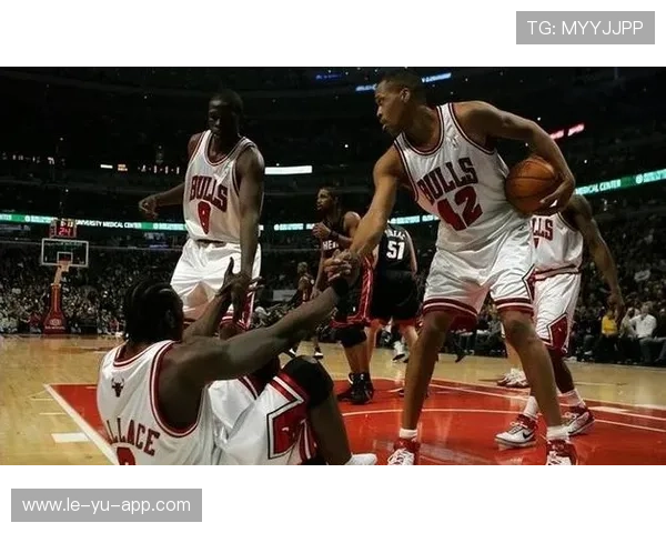 公牛队年轻阵容磨合成效显著，公牛队的阵容