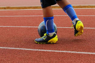 蛙泳对决奥地利游出新速度，奥运会蛙游泳决赛视频