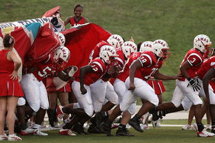 青少年体育社团快速发展 激发校园活力，体育社团开展